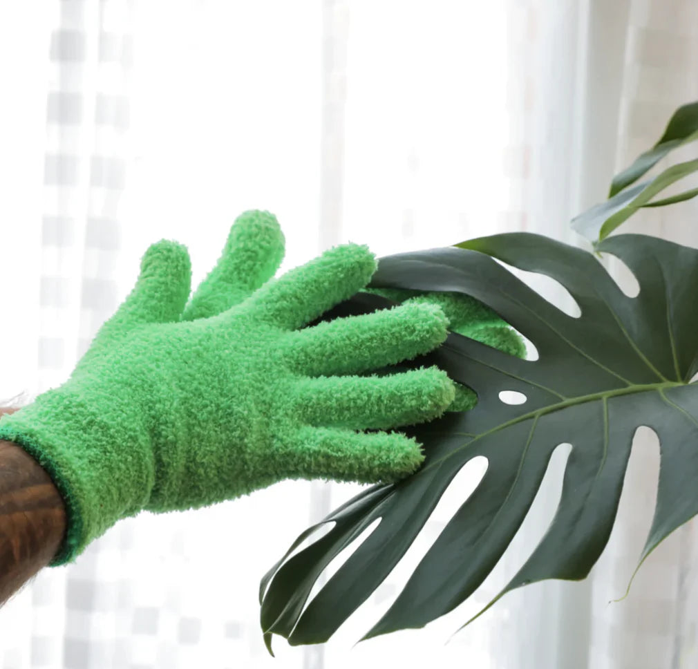 Buy Microfiber Dusting Gloves for Healthier Plants