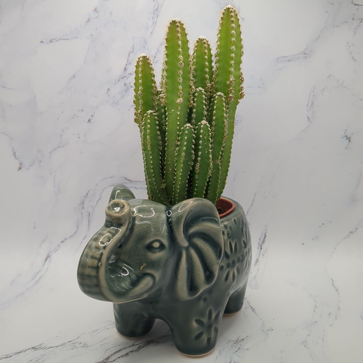 Grey Elephant Pot