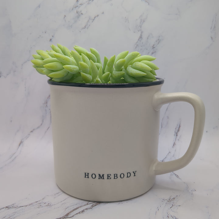 Homebody Mug