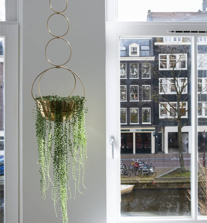Gold Circle Planter