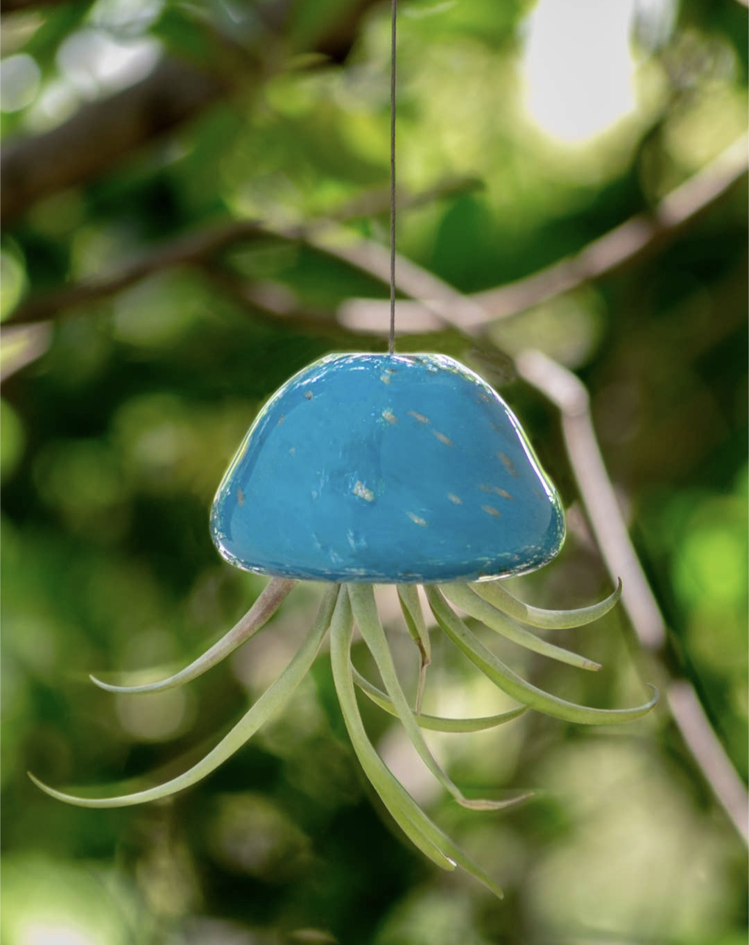 Jellyfish Airplant Holder Teal