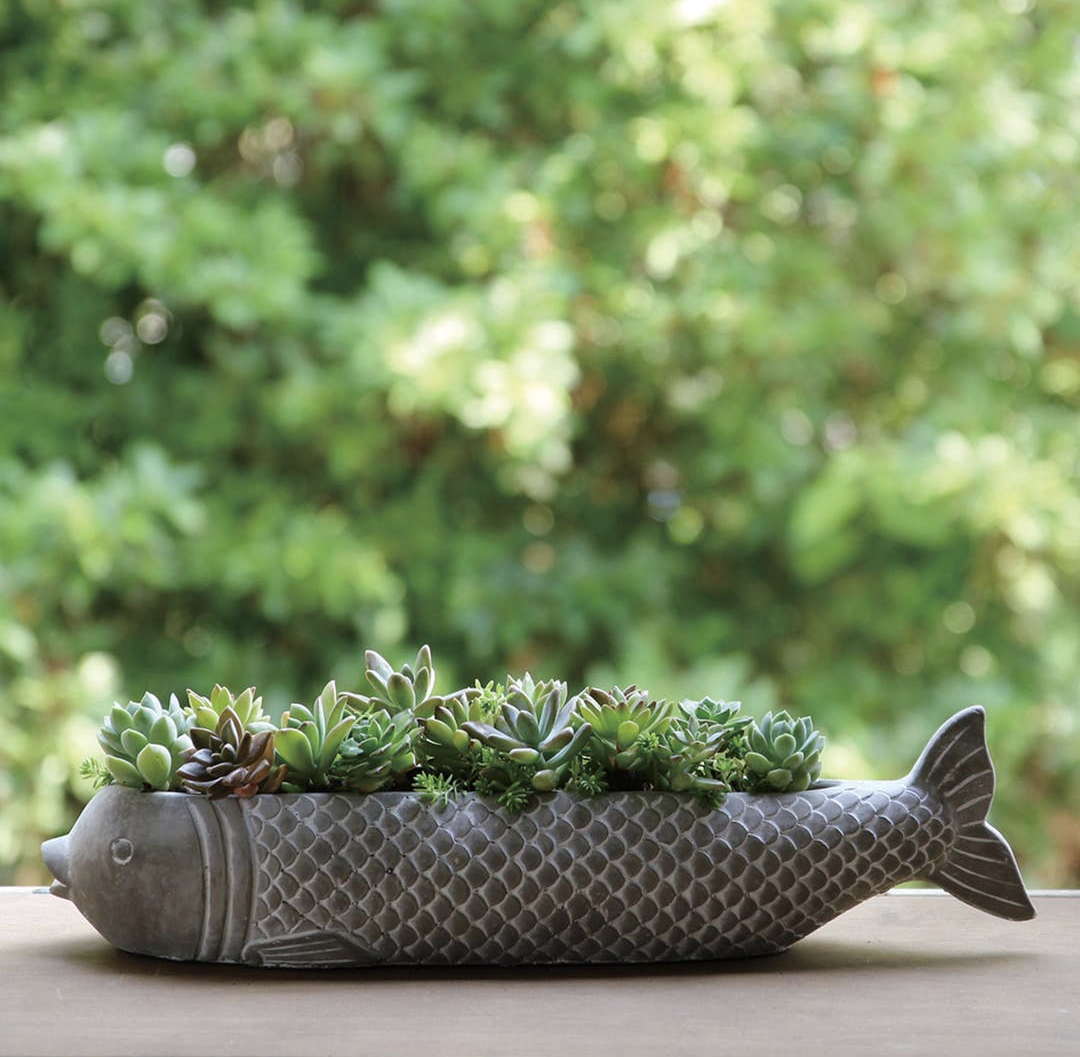 Koi Planter