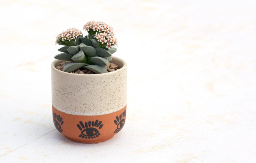Ojo Pot