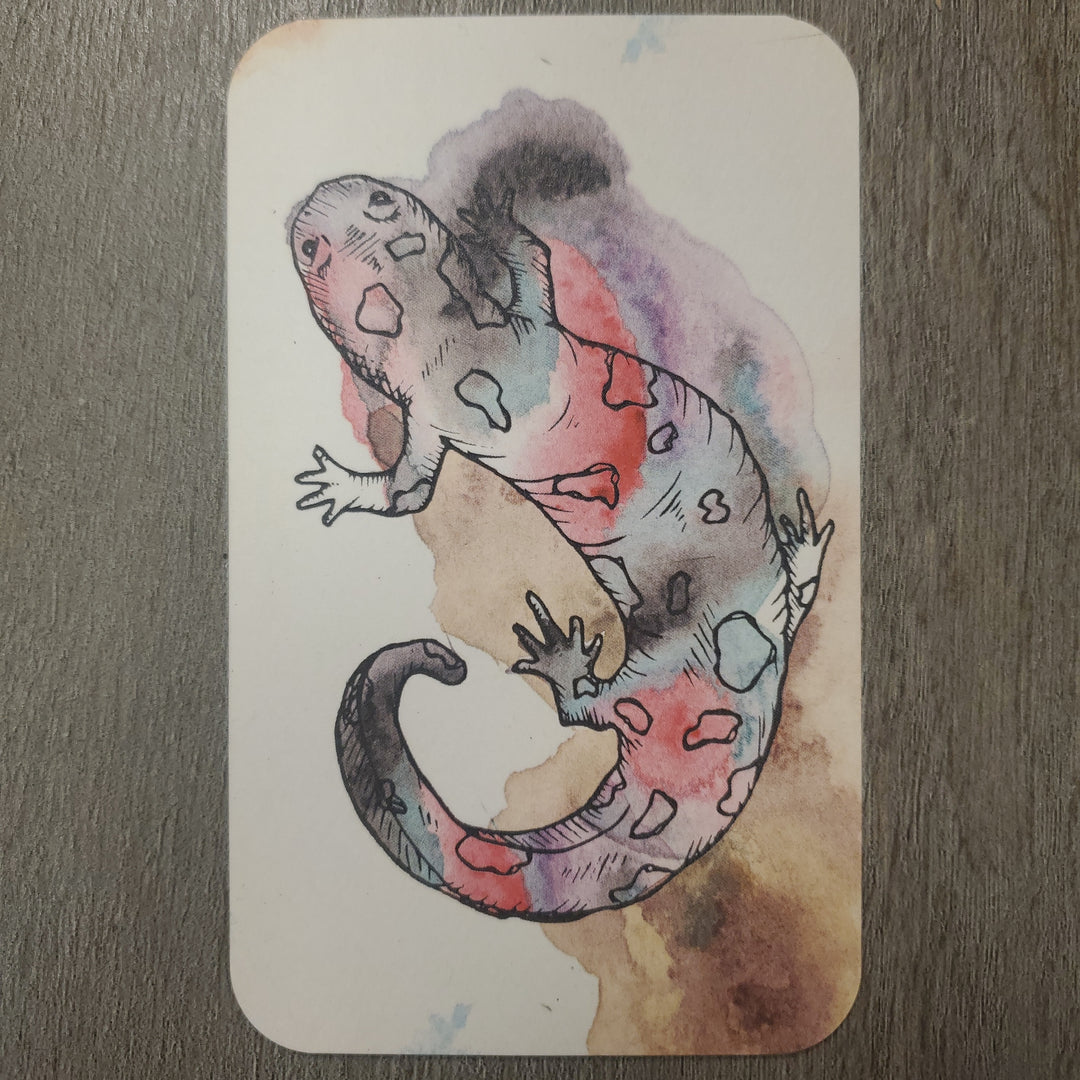 Fauna Inspiration Card Deck