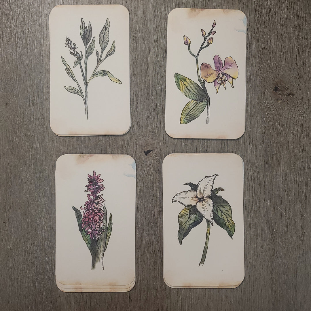 Flora Healing Cards