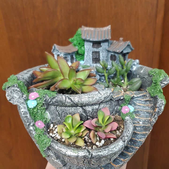 Potted Succulent House