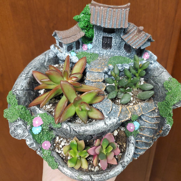 Potted Succulent House