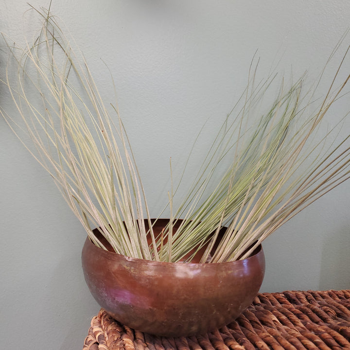 Copper Pot