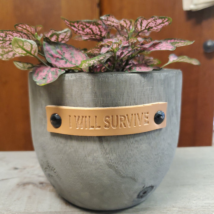 I Will Survive Wooden Pot
