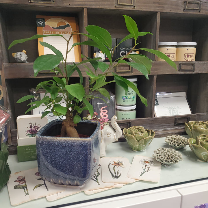 Navy Square Pot