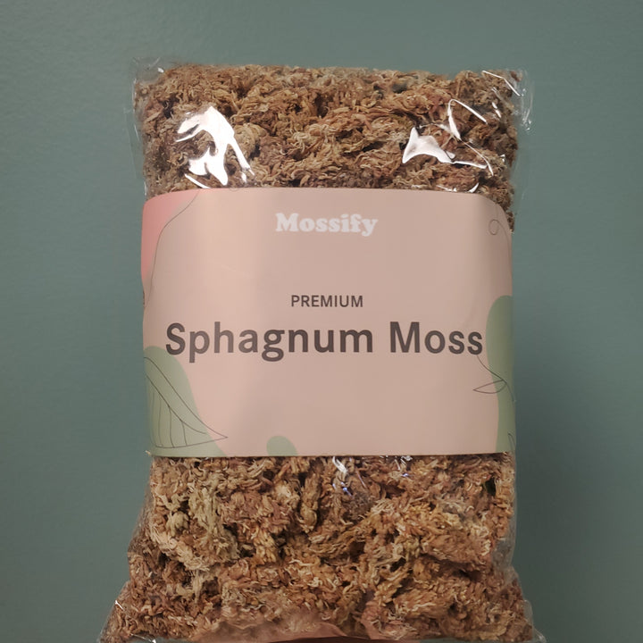 Mossify Sphagnum Moss