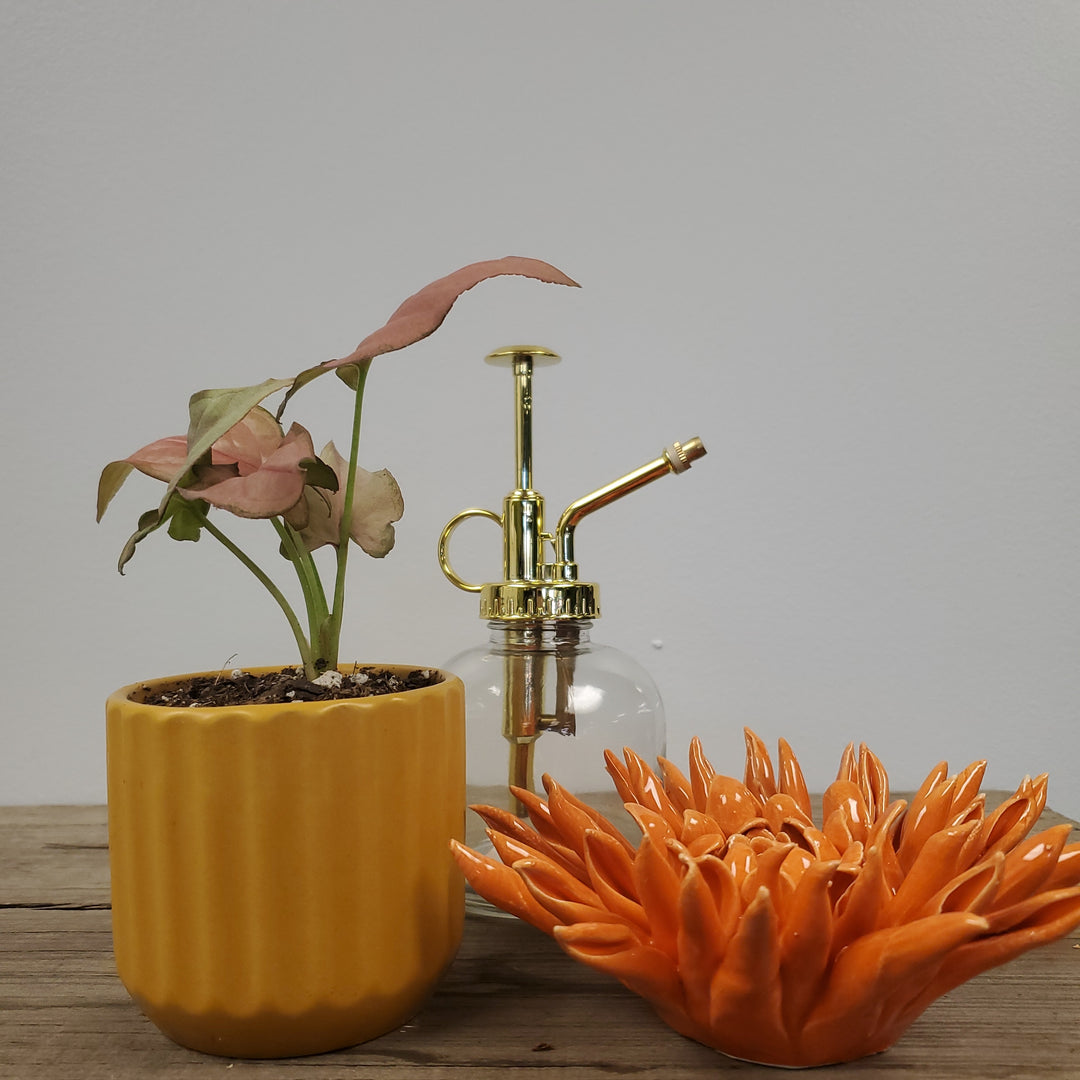 Beam Pot