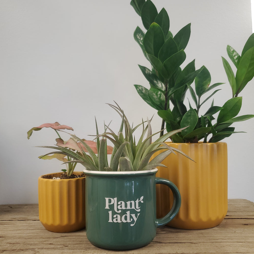 Plant Lady Mug - The Boho Succulent