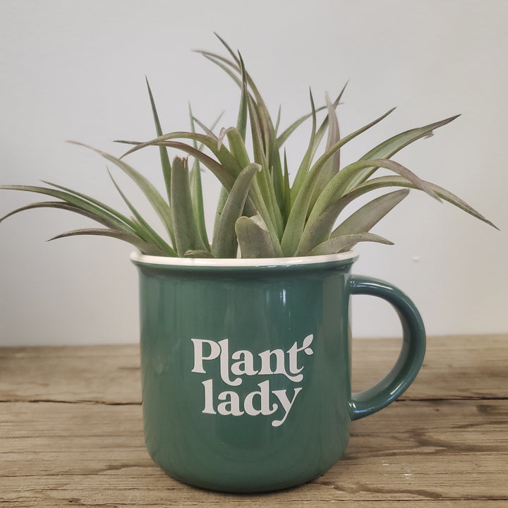 Plant Lady Mug - The Boho Succulent