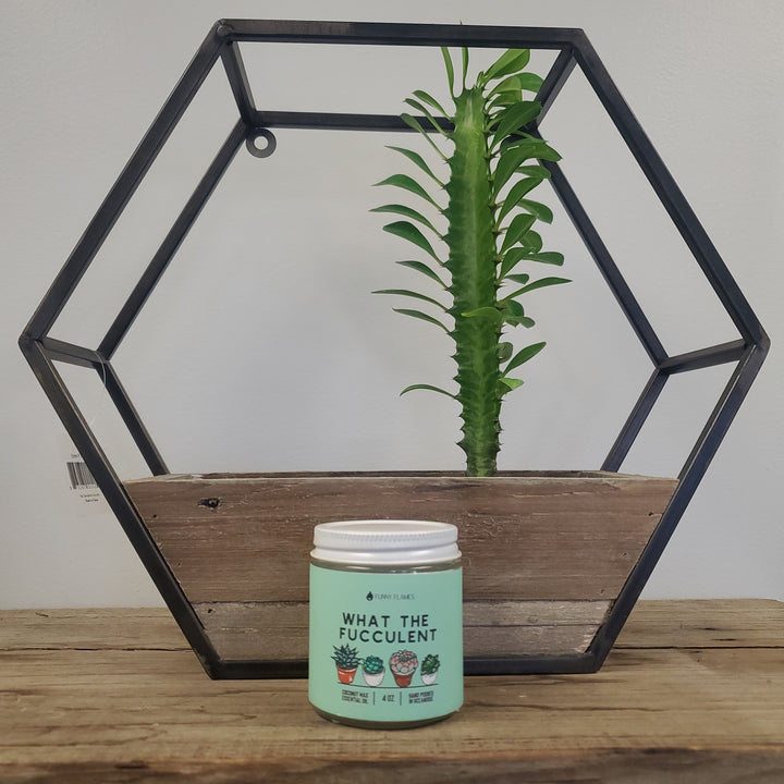 What the Fucculent Candle - 4oz - The Boho Succulent
