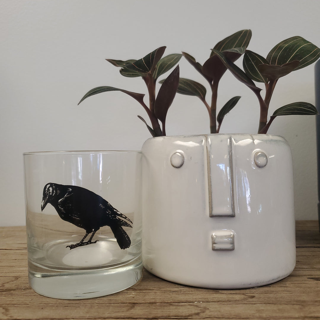Crow Rocks Glass - The Boho Succulent