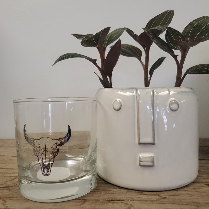 Cow Skull Rocks Glass - The Boho Succulent