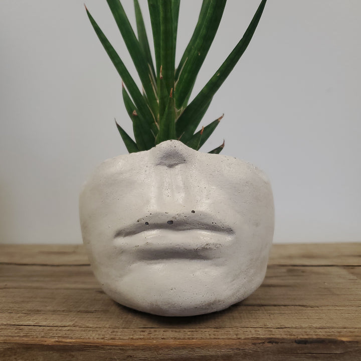 Concrete Face Planter