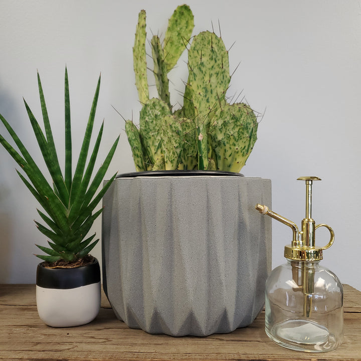 Grey Geometric Pot