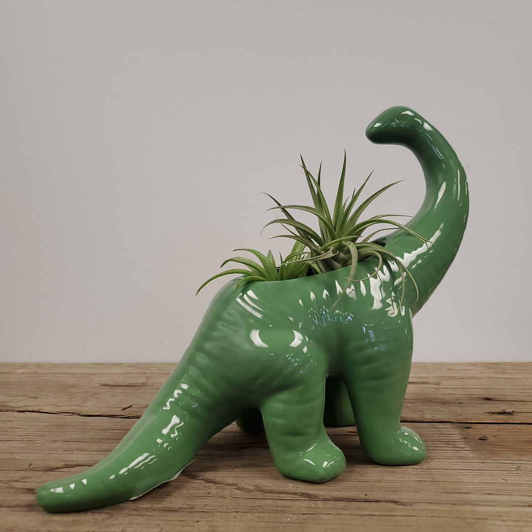 Green Brontosaurus Planter