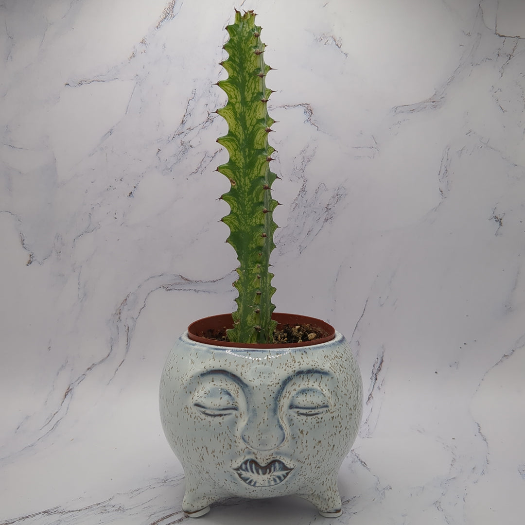 Speckled Face Pot