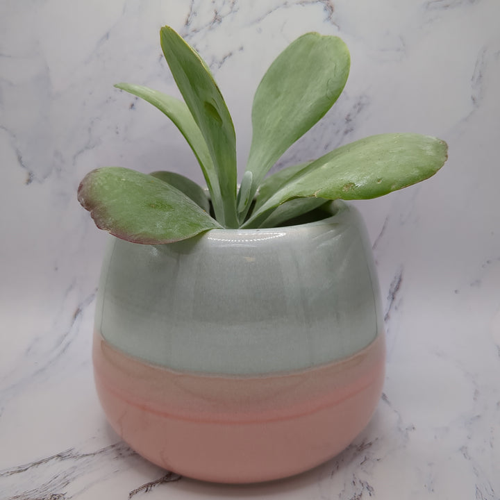Pink & Grey Pot