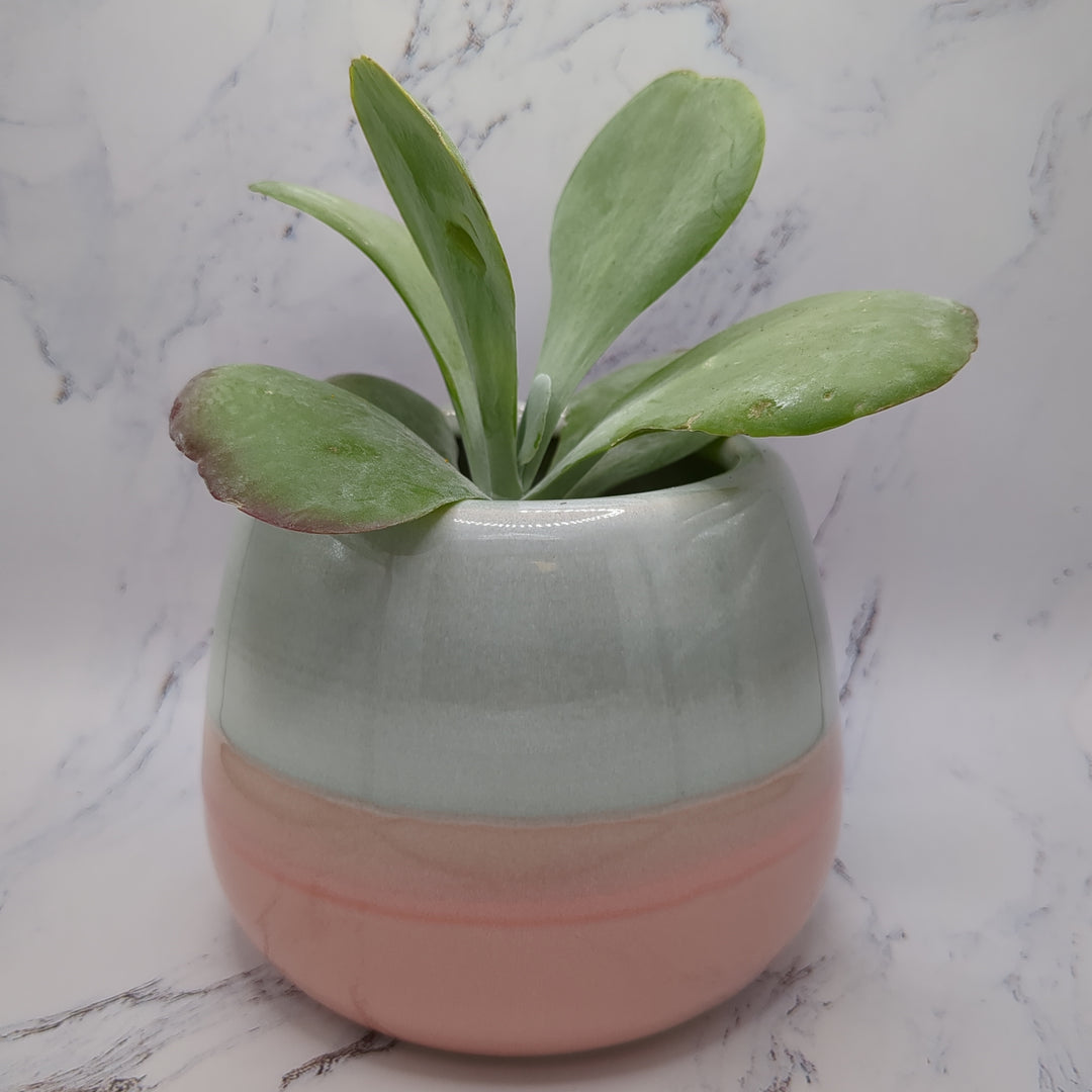 Pink & Grey Pot