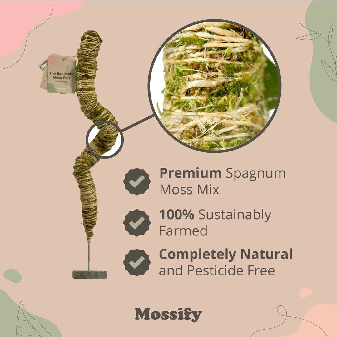 Mossify 16” Moss Pole