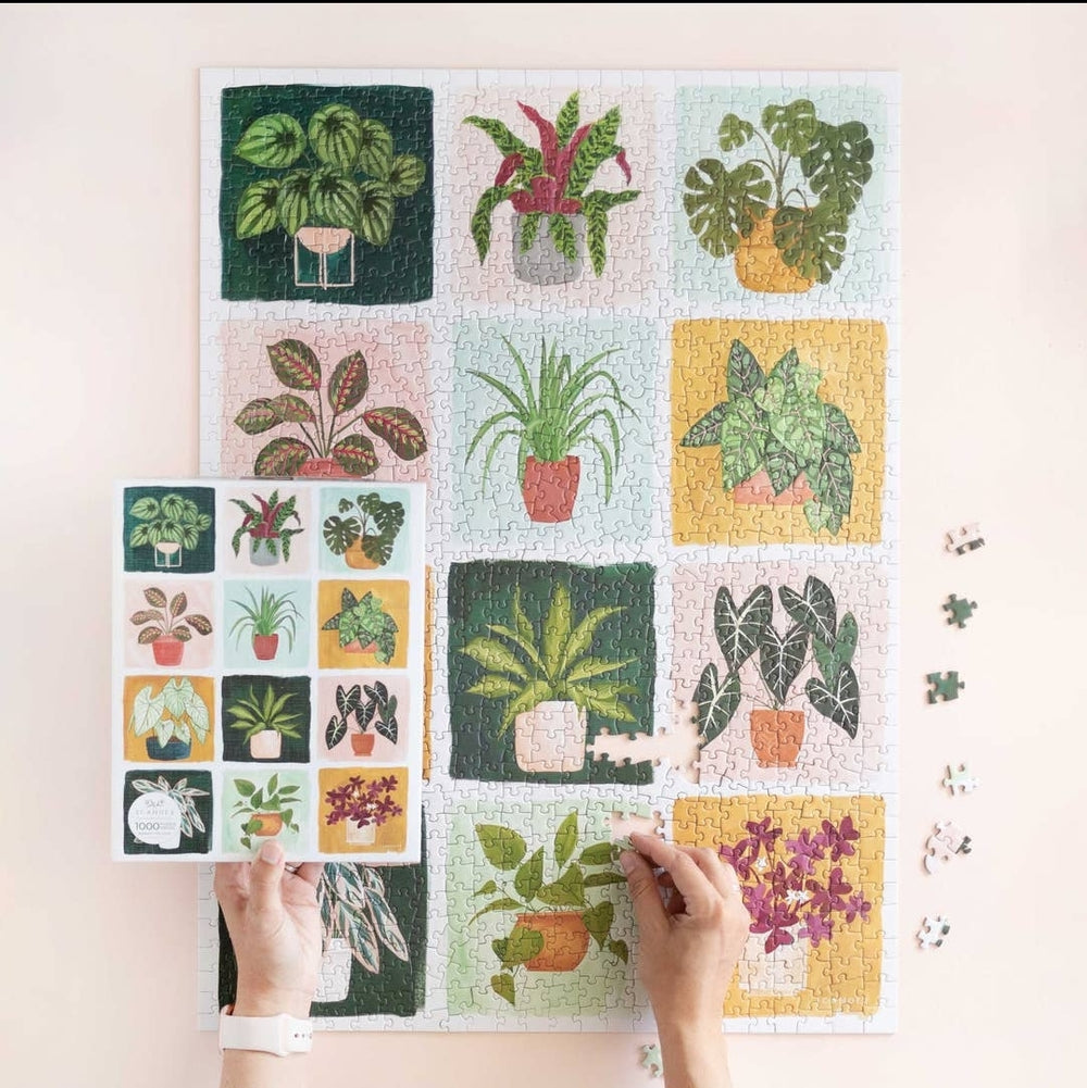 Houseplants Puzzle - The Boho Succulent