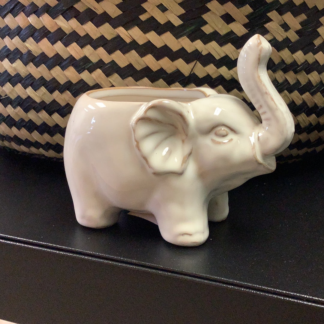 Small Elephant Planter - The Boho Succulent