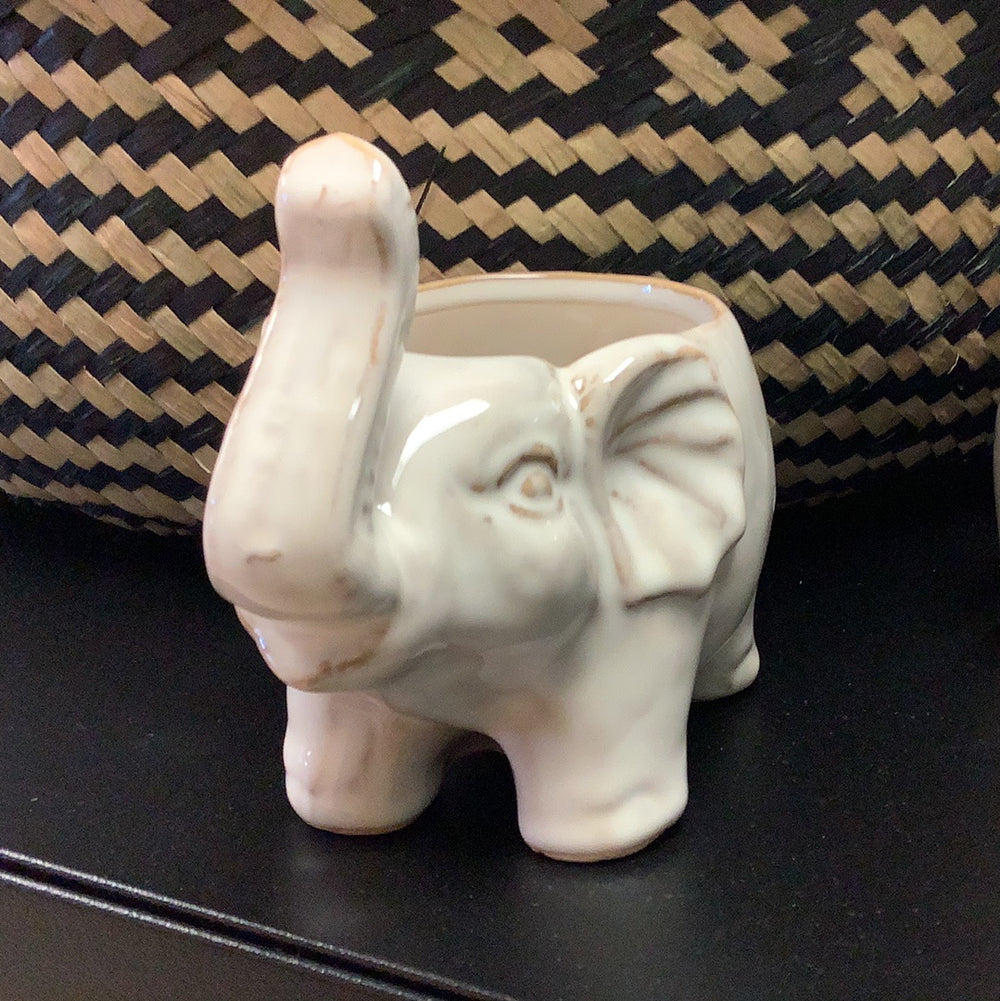 Small Elephant Planter - The Boho Succulent