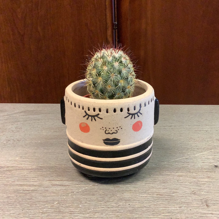 Cute Face Planter